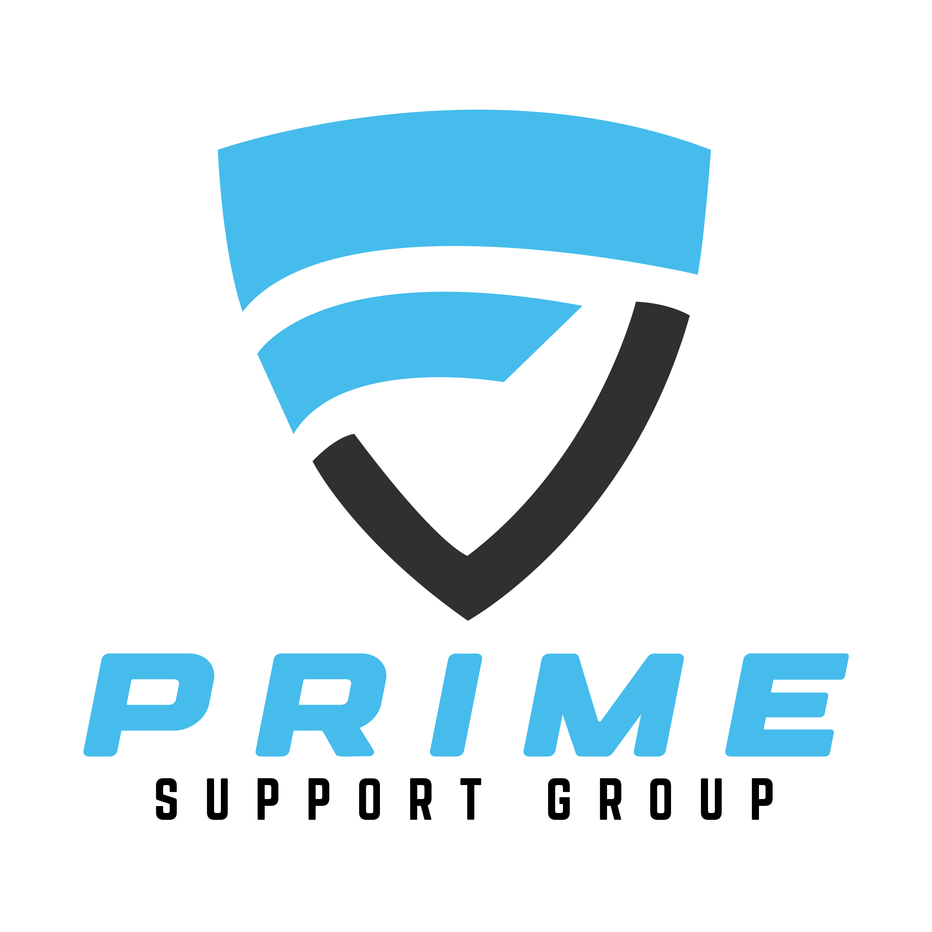 Prime Support Group logo