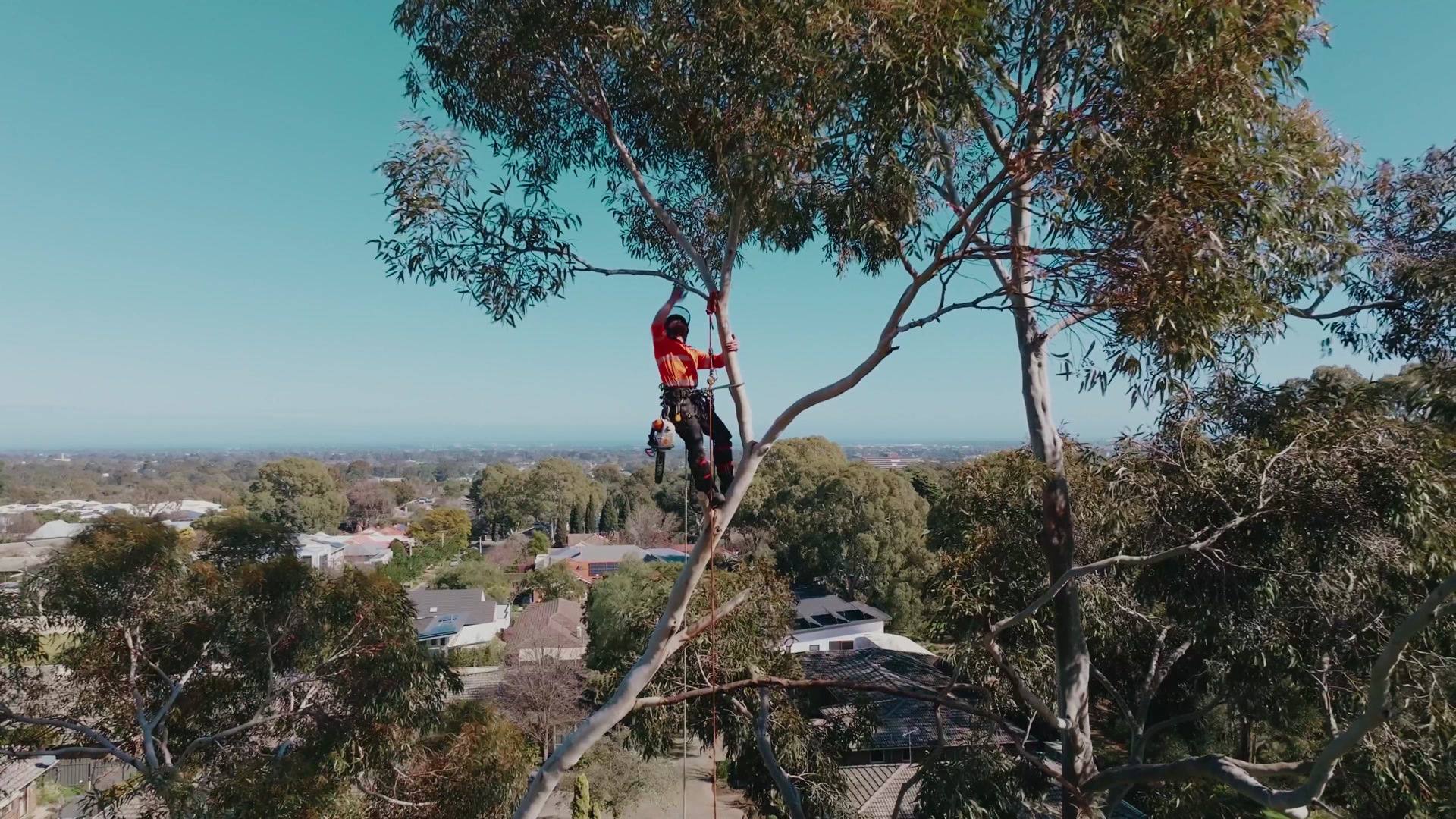 Unley Takedown — TreeTech SA. Video production by ORDA Creative, Adelaide.