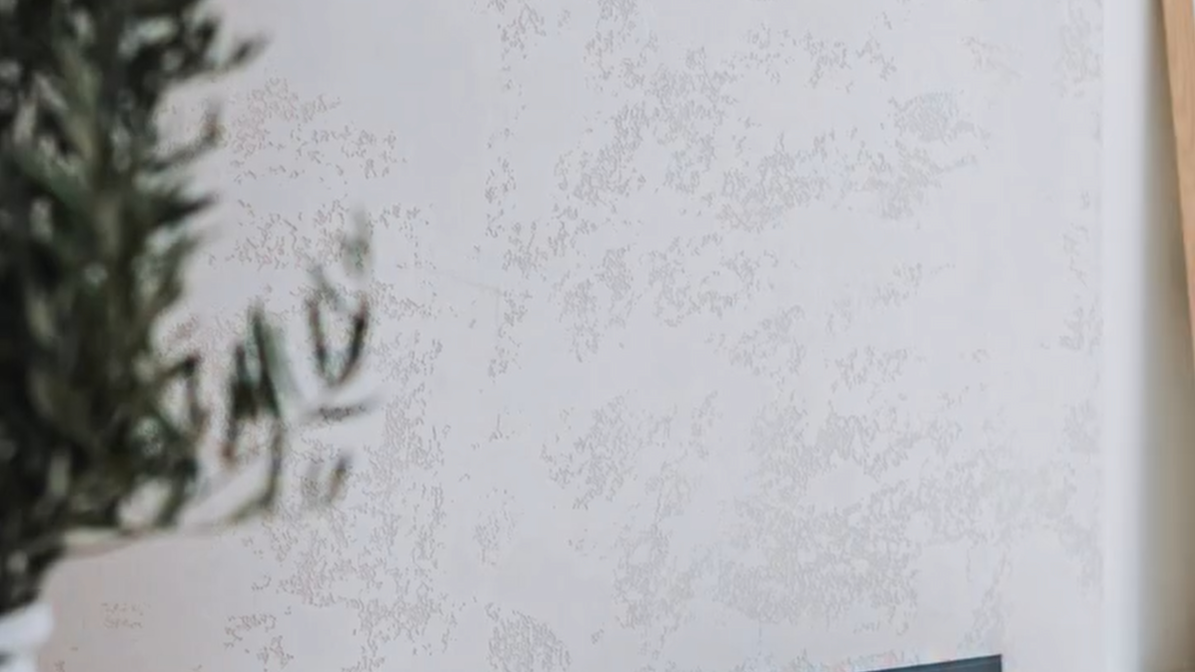 Natural Stone — Premier Render & Plaster. Video production by ORDA Creative, Adelaide.